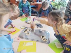 grupa gospodarcza - smakołyki z wafli, miodu i borówek