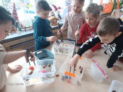 kącik badawczy -	„Co pływa? Co 