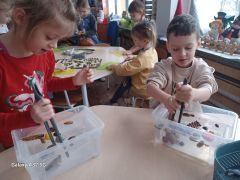 większy obrazek nr 15