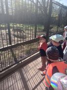 Dzieci obserwują w ZOO zwierzęta 