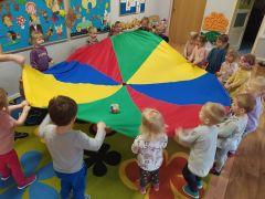 większy obrazek nr 14