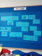 większy obrazek nr 7